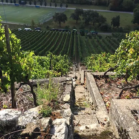 Weinbergblick *
