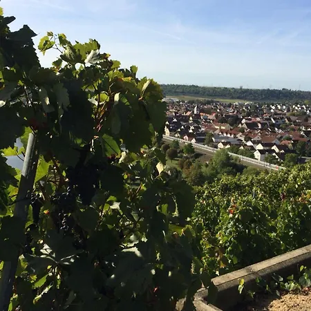 Weinbergblick Appartamento Kirchheim am Neckar