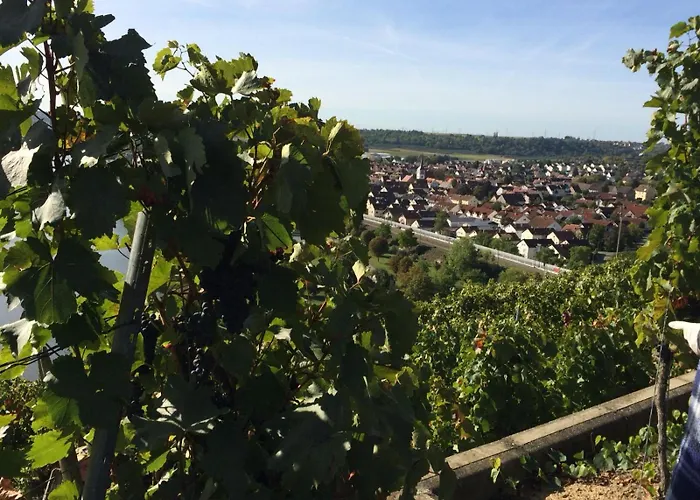 Weinbergblick Lejlighed Kirchheim am Neckar