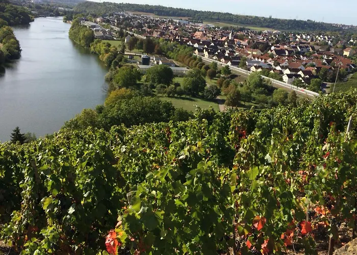 Weinbergblick アパート Kirchheim am Neckar